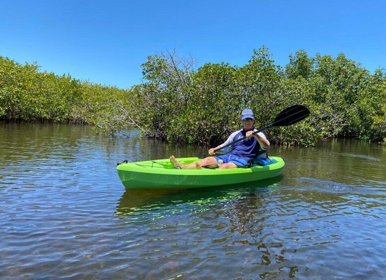 Picture 3 for Activity Tarpon Springs: Guided Anclote River Kayaking Tour