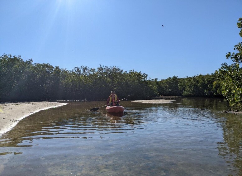 Picture 4 for Activity Tarpon Springs: Guided Anclote River Kayaking Tour