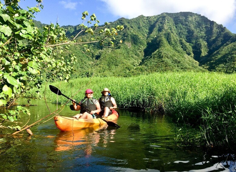 Picture 2 for Activity Oahu: Kahana Rainforest River 4-Hour Kayak Rental