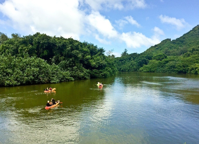 Picture 12 for Activity Oahu: Kahana Rainforest River 4-Hour Kayak Rental