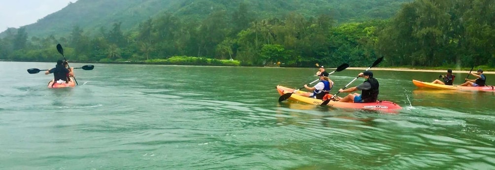 Picture 1 for Activity Oahu: Kahana Rainforest River 4-Hour Kayak Rental