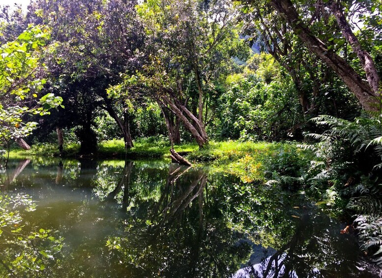 Picture 11 for Activity Oahu: Kahana Rainforest River 4-Hour Kayak Rental