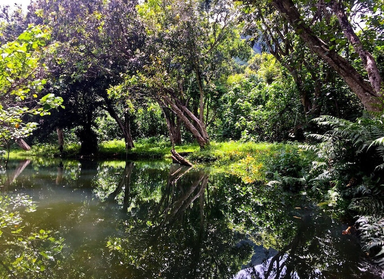 Picture 11 for Activity Oahu: Kahana Rainforest River 4-Hour Kayak Rental