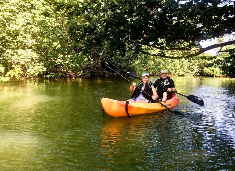 Picture 4 for Activity Oahu: Kahana Rainforest River 4-Hour Kayak Rental