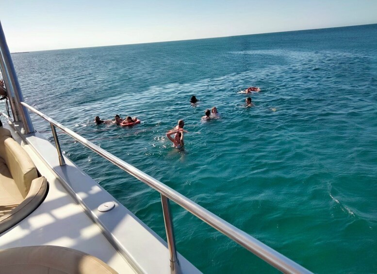Picture 4 for Activity Denia: Cova Tallada Catamaran Tour and Swimming Stop