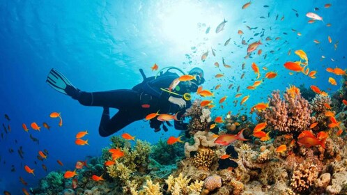 Discovery Scuba Diving and Snorkelling in Mirbat