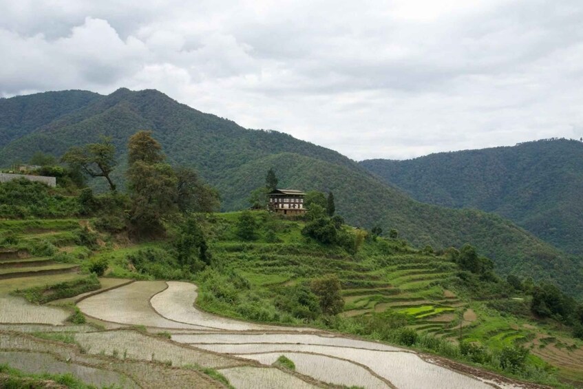 Picture 3 for Activity Bhutan Buddhist Pilgrimage Tours