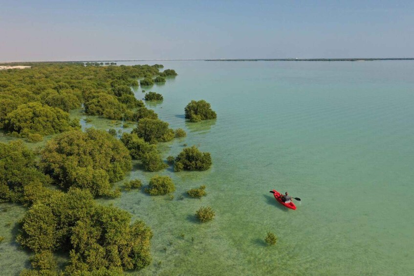 Picture 4 for Activity North Qatar, Zubara Fort, Purple Island, Mangroves Colony