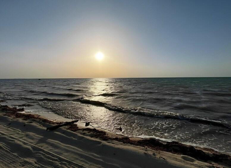 Picture 3 for Activity North Qatar, Zubara Fort, Purple Island, Mangroves Colony