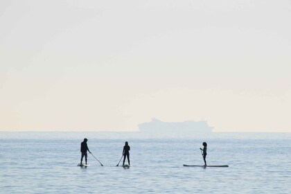 Los Cristianos: Lektion i stand up paddle board