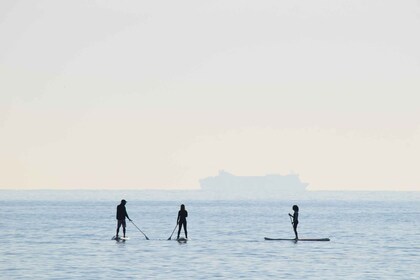 Los Cristianos: lección de surf de remo