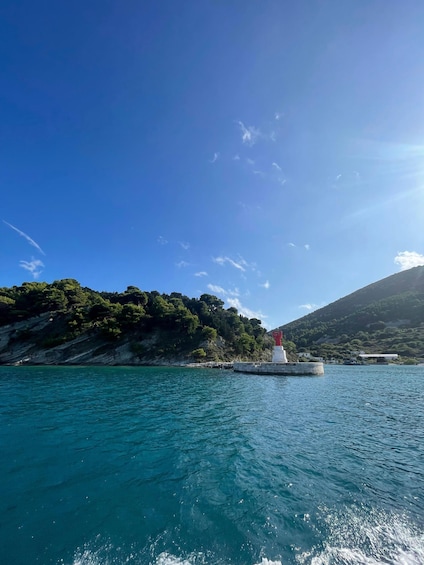 Picture 26 for Activity Clare: Sazan Island & Karaburun Speedboat Trip & Snorkeling