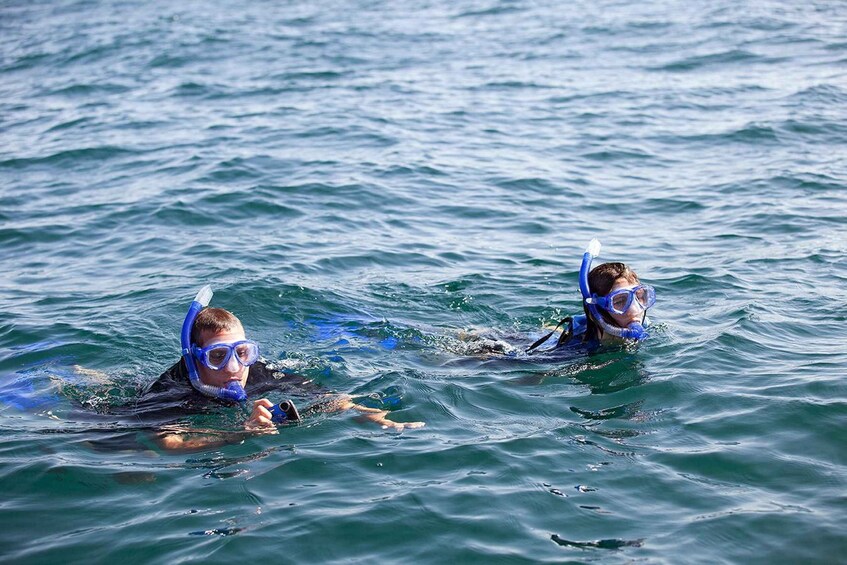 Picture 3 for Activity Holbox: Swimming with Wild Whale Sharks Boat Trip