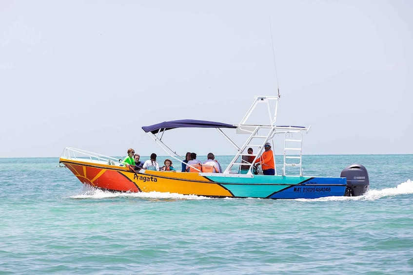 Picture 1 for Activity Holbox: Swimming with Wild Whale Sharks Boat Trip
