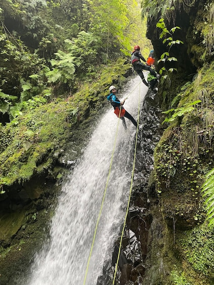 Picture 3 for Activity EPIC Madeira Canyoning Level Two