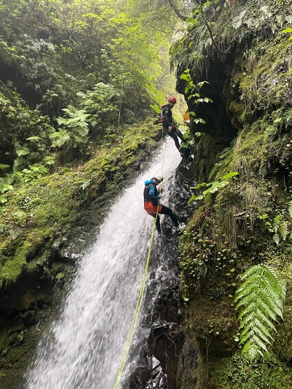 Picture 5 for Activity EPIC Madeira Canyoning Level Two