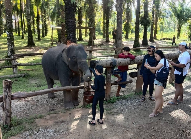 Picture 2 for Activity Krabi Elaphant bathing and atv adventure(30min/30min)