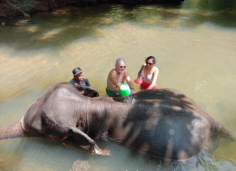 Picture 1 for Activity Krabi Elaphant bathing and atv adventure(30min/30min)