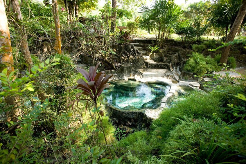 Picture 9 for Activity Krabi Outback Explorer with Kayaking in Klong Root