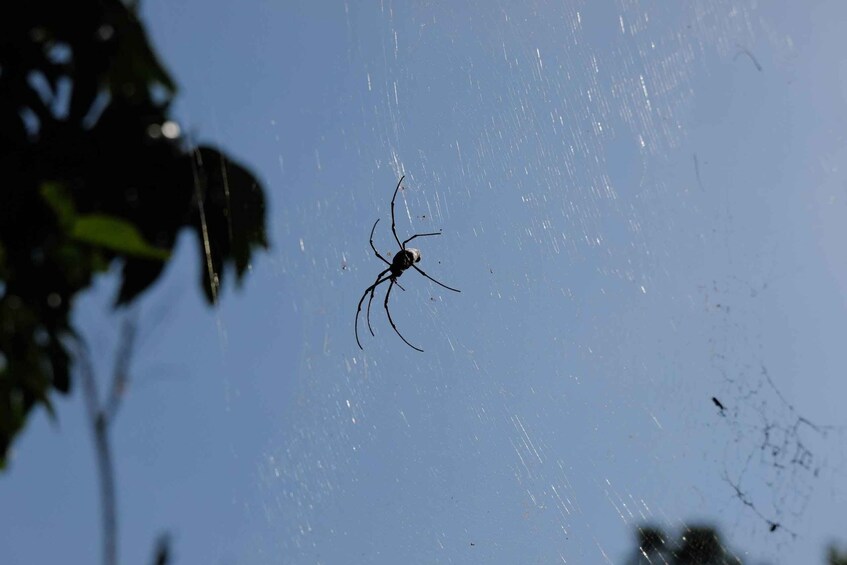 Picture 3 for Activity Krabi Outback Explorer with Kayaking in Klong Root