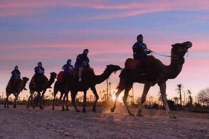 Agadir: Kamelreiten Trek mit Minztee