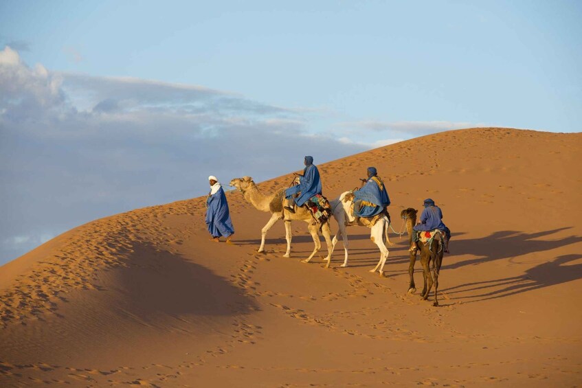 Picture 5 for Activity Agadir: Camel Ride and Flamingo Trek with Mint Tea