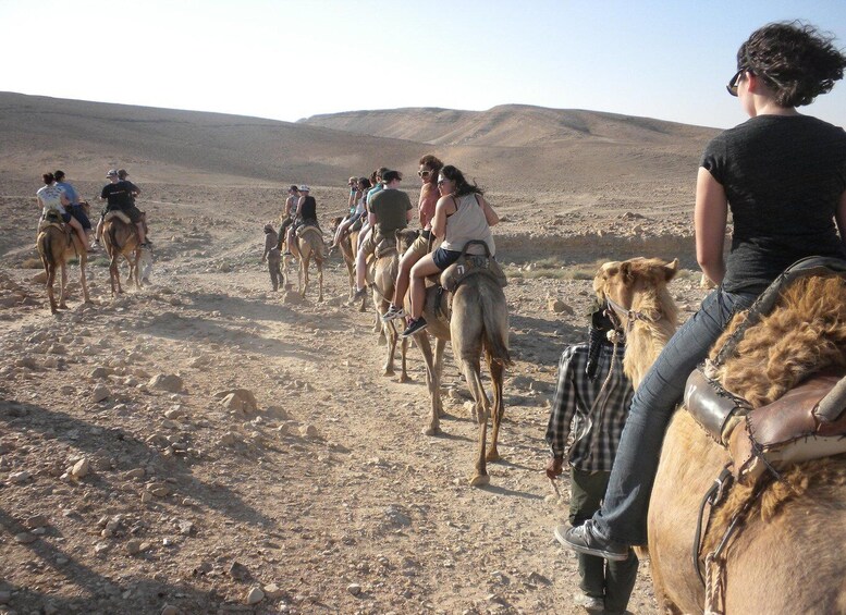 Picture 9 for Activity Agadir: Camel Ride and Flamingo Trek with Mint Tea