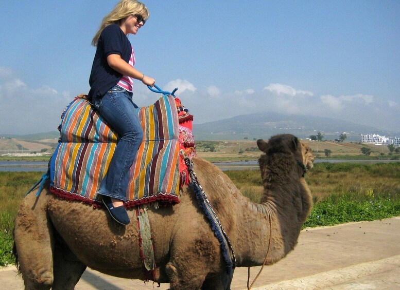 Picture 7 for Activity Agadir: Camel Ride and Flamingo Trek with Mint Tea