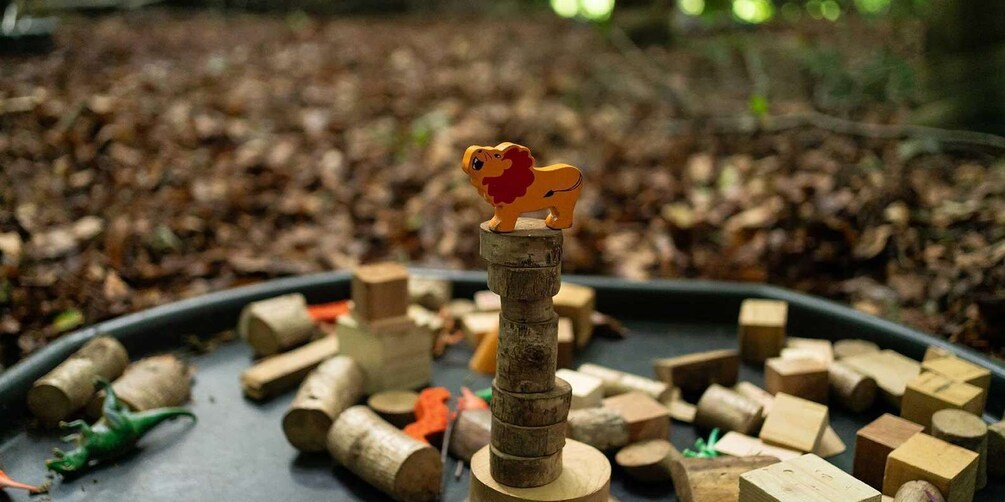 Picture 6 for Activity Muddy Tots Go Wild Forest School - Ballynahinch Co. Down