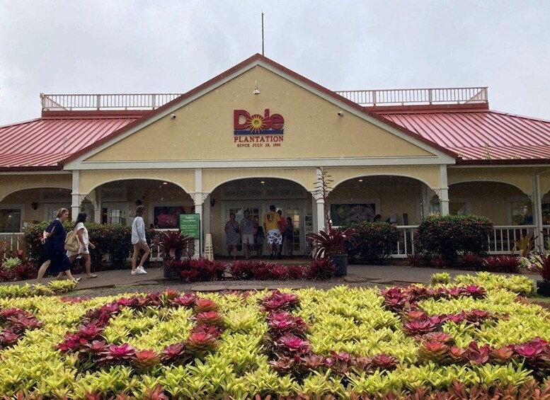 "World Famous Dole Plantation" & North Shore Island Tour!