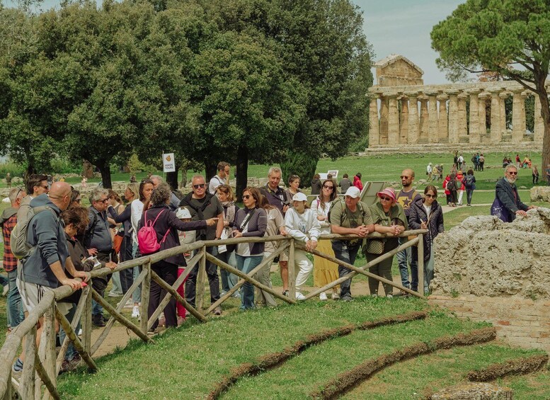 Picture 8 for Activity Paestum: Small-Group Tour with an Archaeologist and Tickets