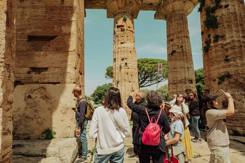 Picture 10 for Activity Paestum: Small-Group Tour with an Archaeologist and Tickets