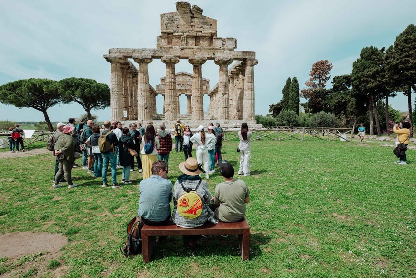 Picture 21 for Activity Paestum: Small-Group Tour with an Archaeologist and Tickets
