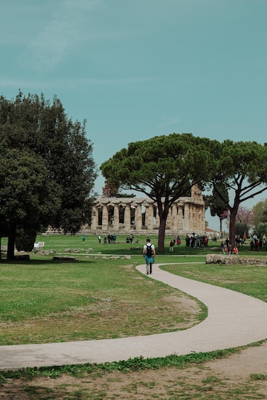 Picture 23 for Activity Paestum: Small-Group Tour with an Archaeologist and Tickets