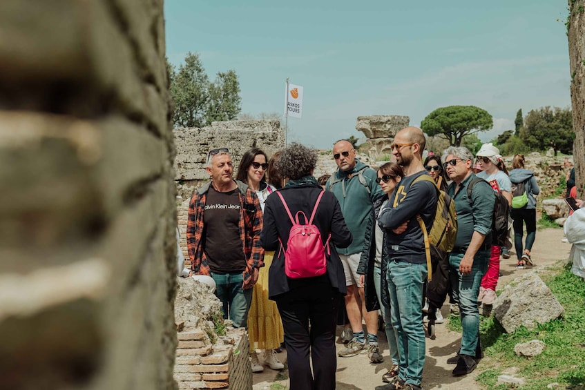 Picture 14 for Activity Paestum: Small-Group Tour with an Archaeologist and Tickets