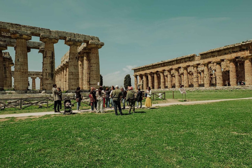 Picture 18 for Activity Paestum: Small-Group Tour with an Archaeologist and Tickets