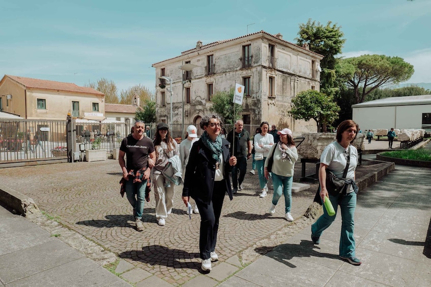 Picture 12 for Activity Paestum: Small-Group Tour with an Archaeologist and Tickets