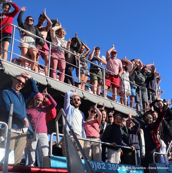 Picture 11 for Activity From Cape Town: Shark Cage Diving and Viewing