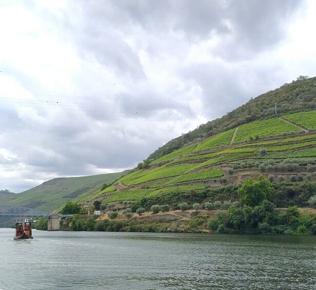 Picture 3 for Activity Tour Privado ao Douro