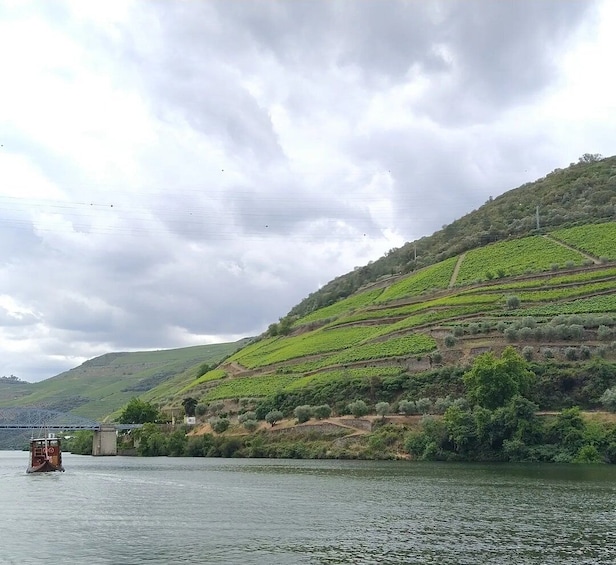 Picture 3 for Activity Tour Privado ao Douro