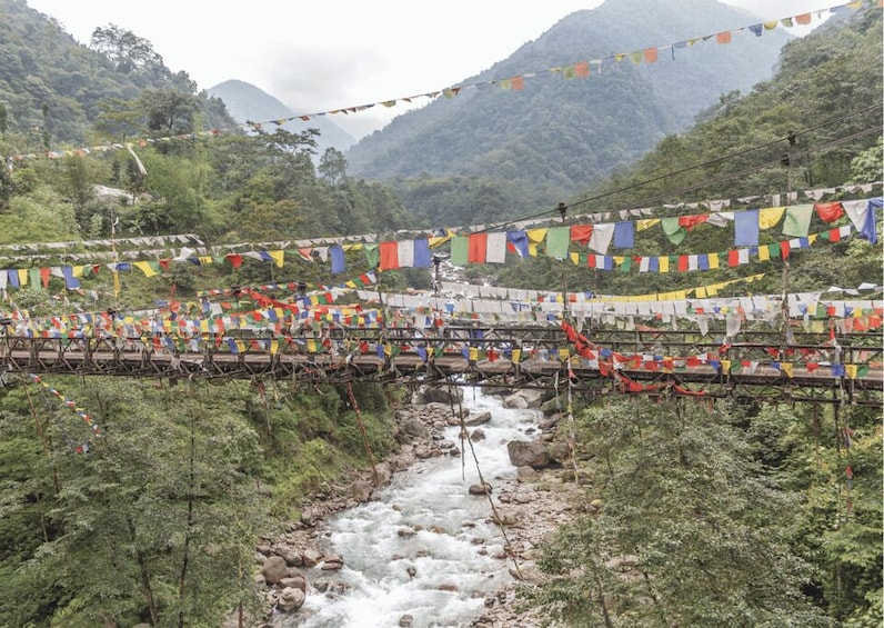 Picture 8 for Activity From Gangtok: Tsongmo Lake & Nathula Pass Day Trip