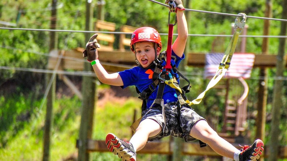 Picture 2 for Activity Idaho Springs: Clear Creek Ziplining Experience