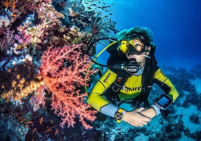 Torre Annunziata: Try Scuba Beginner Diving Experience