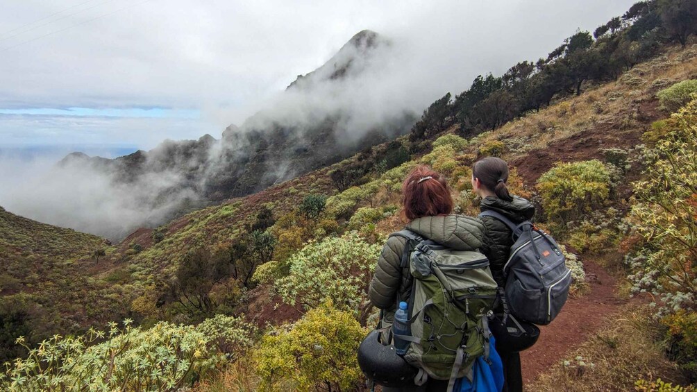 Picture 6 for Activity Tenerife: Anaga Mountains and Laurel Forest Hiking Tour