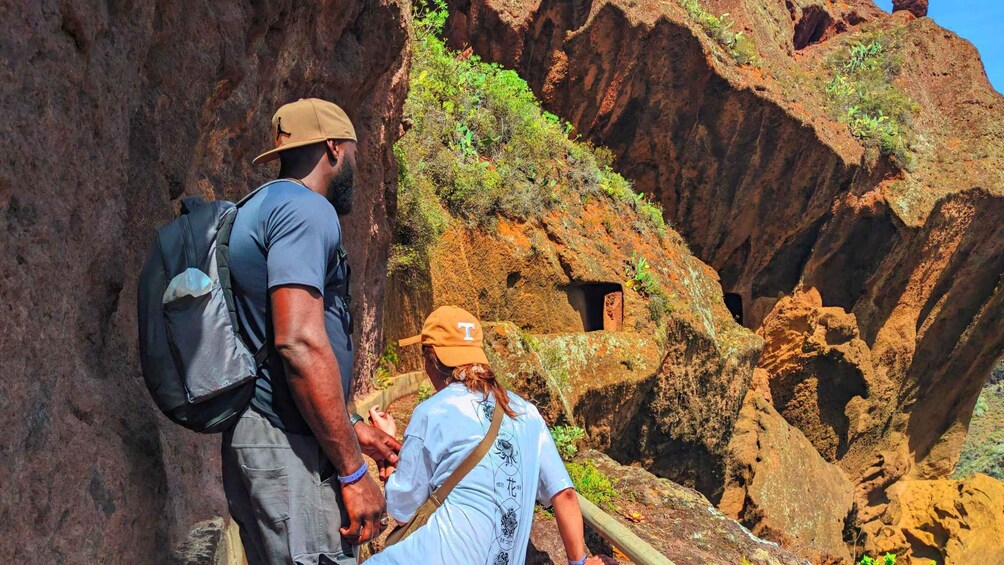 Picture 9 for Activity Tenerife: Anaga Mountains and Laurel Forest Hiking Tour