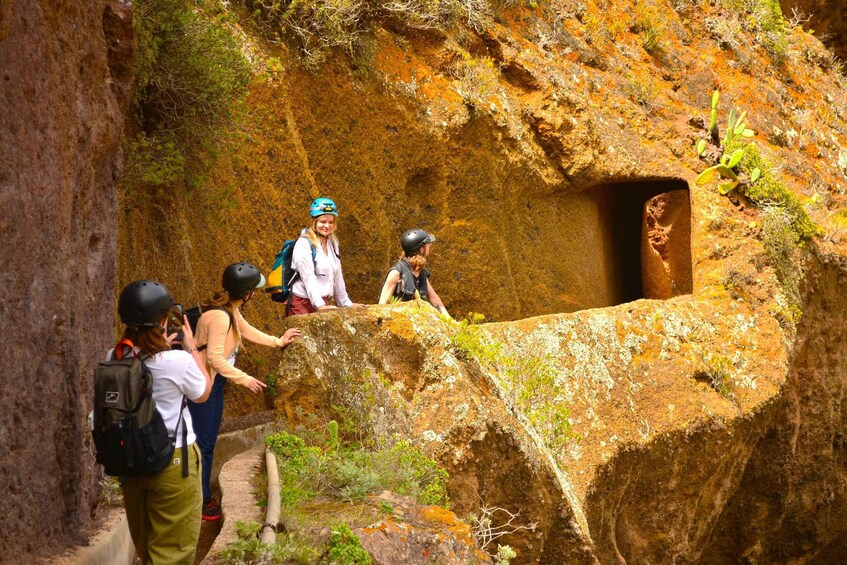 Picture 11 for Activity Tenerife: Hiking Tour in Anaga Mountains & Enchanted Forest