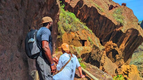 Tenerife: Hiking Tour in Anaga Mountains & Enchanted Forest