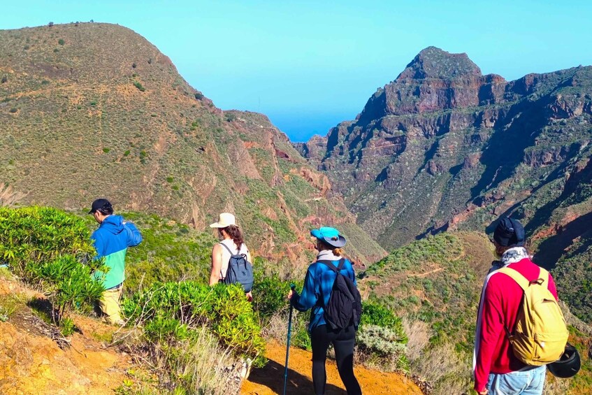 Picture 11 for Activity Tenerife: Anaga Mountains and Laurel Forest Hiking Tour