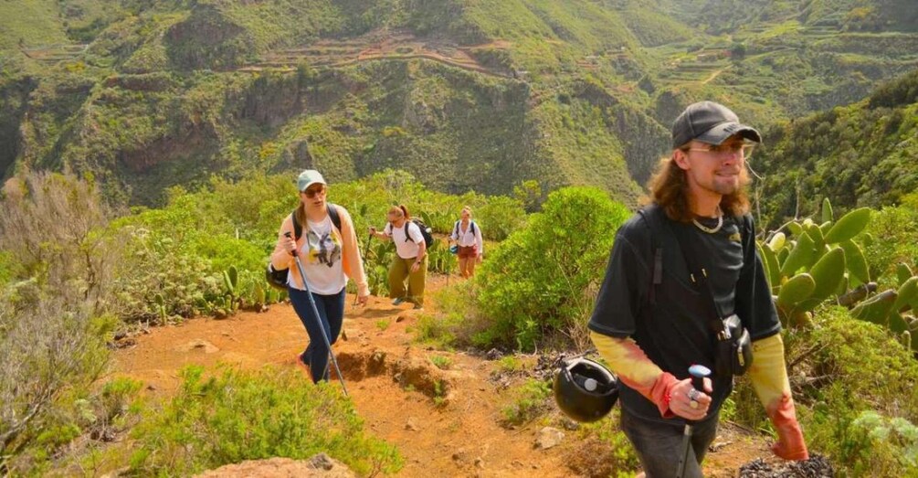 Picture 6 for Activity Tenerife: Hiking Tour in Anaga Mountains & Enchanted Forest