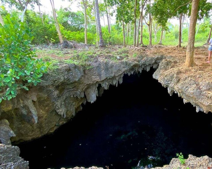 Picture 6 for Activity East Bohol: Anda, rice terraces, waterfalls, Lamanok island